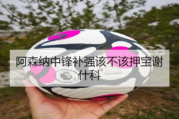 阿森纳中锋补强该不该押宝谢什科